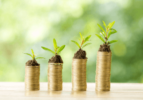 Tips for Improving Your Amazon Profit Margins
